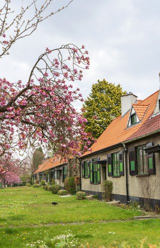 Tuinwijk Logis-Floréal