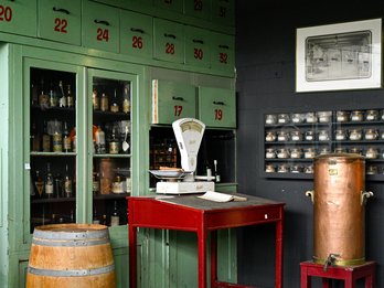 Lion City museum Delhaize © Korei Guided Tours