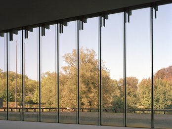 Raampartij met zicht op de bomen